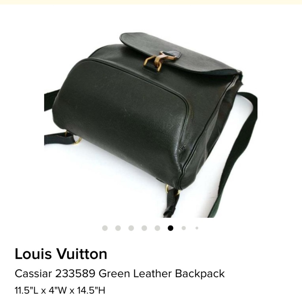 Louis Vuitton Cassiar 233589 Leather Backpack - Picture 7 of 14
